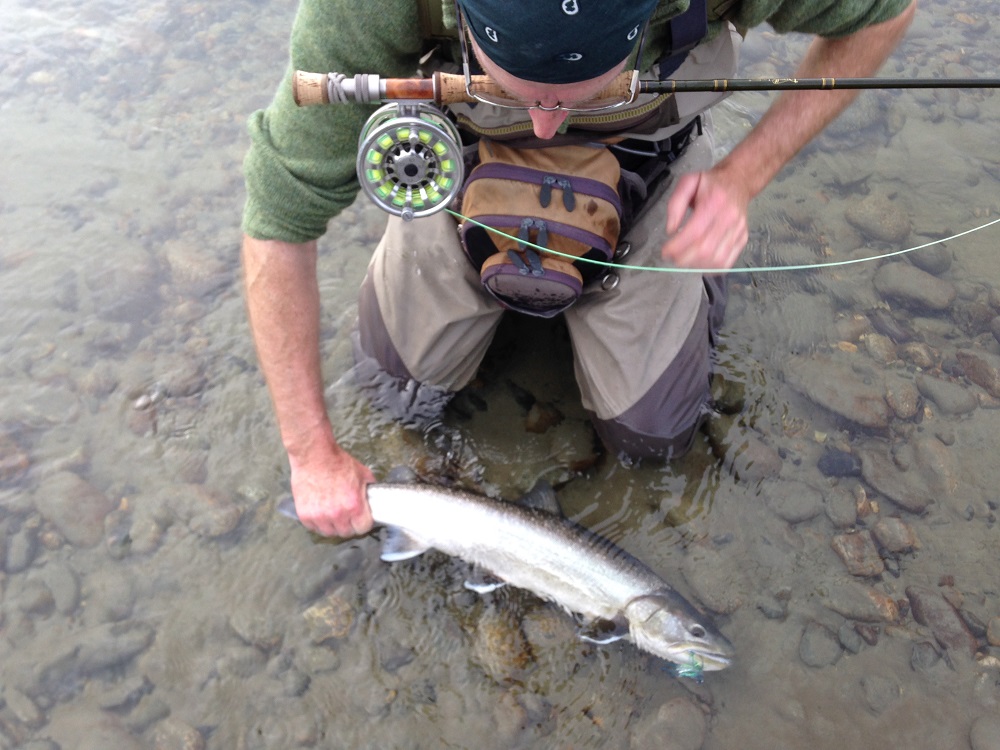 Some Beauty Bull Trout on the Fly Silversides Fishing Adventures