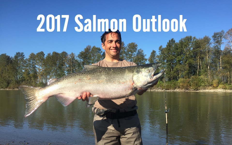 2017 Salmon Forecast Fraser River & Vancouver BC Silversides
